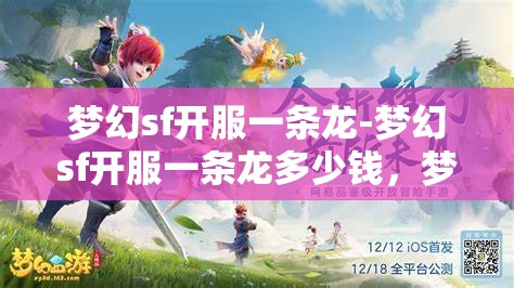 梦幻sf开服一条龙-梦幻sf开服一条龙多少钱，梦幻SF开服一条龙服务，价格与全流程解析